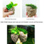 Small Size 5cm Natural Unique Shape Aquarium Fish Tank Floating Rock Stone Suspended Stones Floating Pumice Decor Rock Ornaments