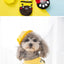 4pcs/Set Printed Pet Dog Socks High Elasticity Small Big Puppy Chihuahua Thick Paw Protector Winter Warm Booties Pet Accessories