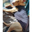 Dog Shirt Clothes, Spring Summer T Shirt Apparel Soft Blank Shirts Clothes For Extra Small Medium Large Extra Large Size Dogs