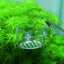 1pc Plastic Automatic Feeder With Suction Cup For Aquarium Red Worm Feeding Fish Tank Cone Live Food Tapered Hopper Basket New