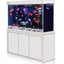 Custom Large Arowana Fish Tank glass fish tank Aquarium