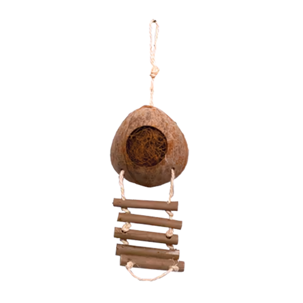 Coco Hideaway With Ladder