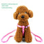 High Quality 1.5cm Width Harness Leashes for Dogs Pets  Collar Small Dog Pet Nylon Harness Puppy Cat Adjustable with Lead Leash