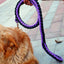 Heavy Duty Pet Dog Collar Leash Set Adjustable Obedience P Chain Collar Nylon Dog Leash Strap Lead Rope for Medium Large Dogs