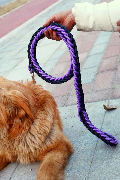 Heavy Duty Pet Dog Collar Leash Set Adjustable Obedience P Chain Collar Nylon Dog Leash Strap Lead Rope for Medium Large Dogs
