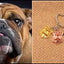 New Cute Greyhound Dog Animal Purse Handbag Handmade Pendant Keychain For Bag Car Women Men Key Ring Love Jewelry K137