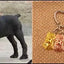 New Cute Greyhound Dog Animal Purse Handbag Handmade Pendant Keychain For Bag Car Women Men Key Ring Love Jewelry K137