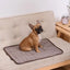 Dog Mat Cooling Summer Pad Mat For Dogs Cat Blanket Sofa Breathable Pet Dog Bed Summer Washable For Small Medium Large Dogs Car