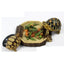 Food Water Dish Bowl Feeder Tray Terrarium Decor for Reptile Tortoise Turtle Snake 16x15x2.5cm