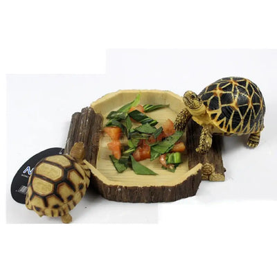 Food Water Dish Bowl Feeder Tray Terrarium Decor for Reptile Tortoise Turtle Snake 16x15x2.5cm