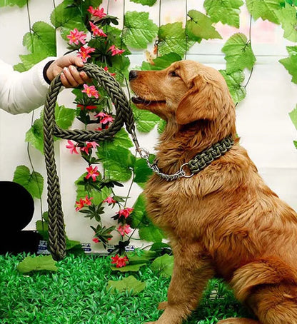 Heavy Duty Pet Dog Collar Leash Set Adjustable Obedience P Chain Collar Nylon Dog Leash Strap Lead Rope for Medium Large Dogs