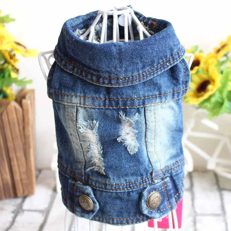 Spring Autumn Apparel Dog Jeans Jacket for Small Medium Dogs Cool Blue Pet Denim Hooded Coat Puppy Clothes Outfits