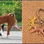 New Cute Greyhound Dog Animal Purse Handbag Handmade Pendant Keychain For Bag Car Women Men Key Ring Love Jewelry K137