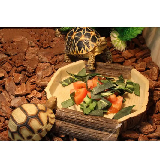 Food Water Dish Bowl Feeder Tray Terrarium Decor for Reptile Tortoise Turtle Snake 16x15x2.5cm
