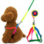 120cm Nylon Rainbow Pet Dog Collar Harness Leash Soft Walking Harness Lead Colorful and Durable Traction Ropes All Seasons
