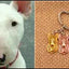 New Cute Greyhound Dog Animal Purse Handbag Handmade Pendant Keychain For Bag Car Women Men Key Ring Love Jewelry K137
