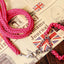 Heavy Duty Pet Dog Collar Leash Set Adjustable Obedience P Chain Collar Nylon Dog Leash Strap Lead Rope for Medium Large Dogs