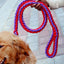 Heavy Duty Pet Dog Collar Leash Set Adjustable Obedience P Chain Collar Nylon Dog Leash Strap Lead Rope for Medium Large Dogs