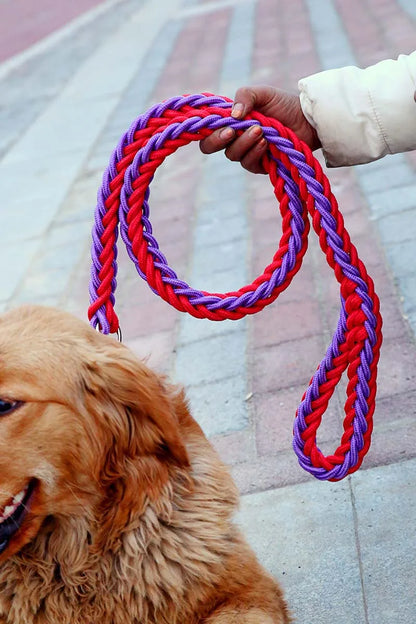 Heavy Duty Pet Dog Collar Leash Set Adjustable Obedience P Chain Collar Nylon Dog Leash Strap Lead Rope for Medium Large Dogs