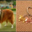 New Cute Greyhound Dog Animal Purse Handbag Handmade Pendant Keychain For Bag Car Women Men Key Ring Love Jewelry K137