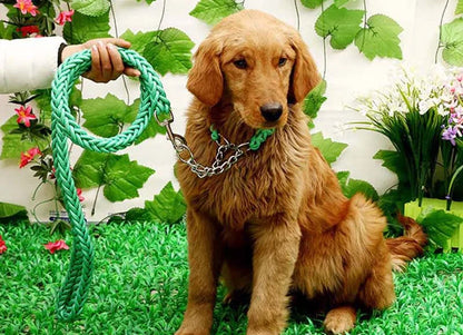 Heavy Duty Pet Dog Collar Leash Set Adjustable Obedience P Chain Collar Nylon Dog Leash Strap Lead Rope for Medium Large Dogs