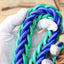 Heavy Duty Pet Dog Collar Leash Set Adjustable Obedience P Chain Collar Nylon Dog Leash Strap Lead Rope for Medium Large Dogs