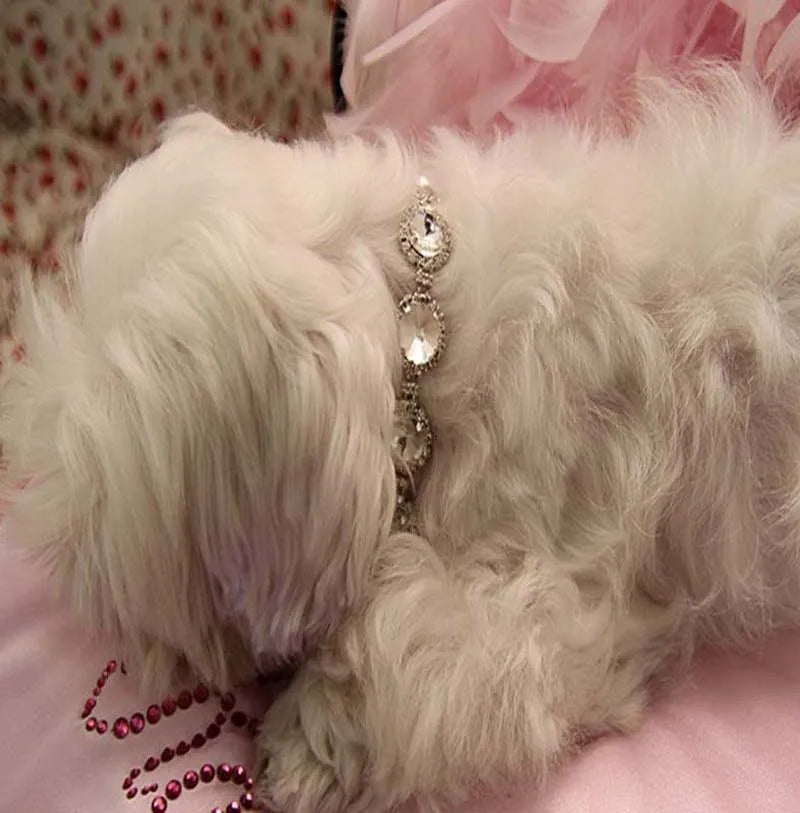 Bling Rhinestone Dog Necklace Jewelry Luxury Designer Gemstone Princess Dog Cat Wedding Collar for Small Medium Dogs Puppy