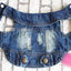 Spring Autumn Apparel Dog Jeans Jacket for Small Medium Dogs Cool Blue Pet Denim Hooded Coat Puppy Clothes Outfits