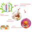 Guinea Pig Hamster Rabbit Teeth Grinding Stone Minerals Molar Stone Chew Toys for Chinchilla Dog Totoro Small Animal Supplies