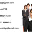 pet cages dog cat hotel mt pet cage clinic