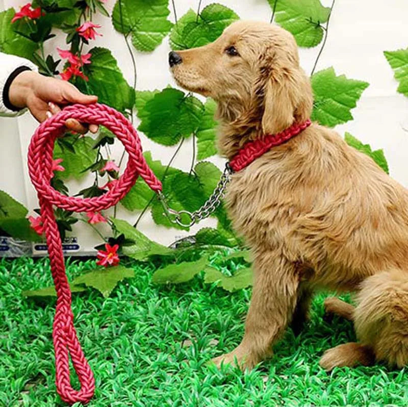 Heavy Duty Pet Dog Collar Leash Set Adjustable Obedience P Chain Collar Nylon Dog Leash Strap Lead Rope for Medium Large Dogs