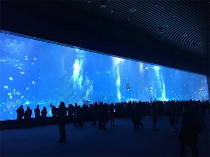 Cylindrical Acrylic Aquariums & Accessories Aquarium Oceanarium Project Sustainable Transparent any Sizes ISO9001:2015