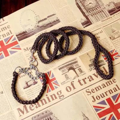 Heavy Duty Pet Dog Collar Leash Set Adjustable Obedience P Chain Collar Nylon Dog Leash Strap Lead Rope for Medium Large Dogs