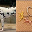 New Cute Greyhound Dog Animal Purse Handbag Handmade Pendant Keychain For Bag Car Women Men Key Ring Love Jewelry K137