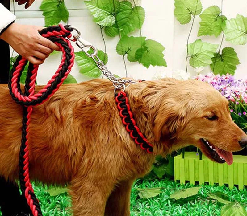 Heavy Duty Pet Dog Collar Leash Set Adjustable Obedience P Chain Collar Nylon Dog Leash Strap Lead Rope for Medium Large Dogs