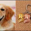 New Cute Greyhound Dog Animal Purse Handbag Handmade Pendant Keychain For Bag Car Women Men Key Ring Love Jewelry K137