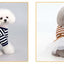 Stripe Dog Dresses for Small Dogs Girl Spring Summer Puppy Clothes Tulle Princess Skirts Party Birthday Pet Apparel