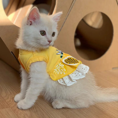Summer Cotton Cat Dress Skirt Cute Pineapple Cherry Print Pet Clothes Dresses for Cats Sphynx Dog kedi elbisesi ropa para gatos