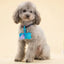 Useful Pet Poop Bag Set Multipurpose Carrier Garbage Clean Dispenser Box Dog Waste Poop Bag Dog Accessories Mascota Pet Supplies