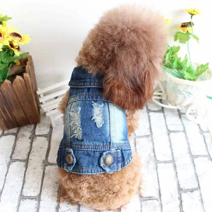 Spring Autumn Apparel Dog Jeans Jacket for Small Medium Dogs Cool Blue Pet Denim Hooded Coat Puppy Clothes Outfits
