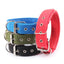Solid Nylon Dog Collar