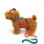 120cm Nylon Rainbow Pet Dog Collar Harness Leash Soft Walking Harness Lead Colorful and Durable Traction Ropes All Seasons