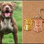 New Cute Greyhound Dog Animal Purse Handbag Handmade Pendant Keychain For Bag Car Women Men Key Ring Love Jewelry K137