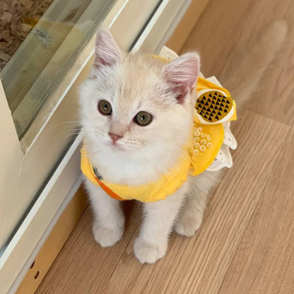 Summer Cotton Cat Dress Skirt Cute Pineapple Cherry Print Pet Clothes Dresses for Cats Sphynx Dog kedi elbisesi ropa para gatos