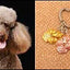 New Cute Greyhound Dog Animal Purse Handbag Handmade Pendant Keychain For Bag Car Women Men Key Ring Love Jewelry K137