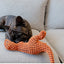 Soft Plush Squeaky Dog Toys Cartoon Cute Dinosaur Pets Cat Toy Outdoor Play Interactive Small Dog Chew Molar Toys