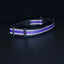 Adjustable Durable Pet Collar Leash for Small Medium Large Dogs Cats Reflective Dog Collar Nylon Collar for Dog Cat Pet Supplies
