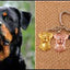New Cute Greyhound Dog Animal Purse Handbag Handmade Pendant Keychain For Bag Car Women Men Key Ring Love Jewelry K137