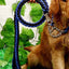 Heavy Duty Pet Dog Collar Leash Set Adjustable Obedience P Chain Collar Nylon Dog Leash Strap Lead Rope for Medium Large Dogs