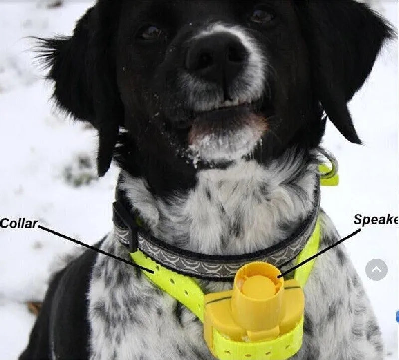 Professional Hunting Dog Beeper Chargable Dog Training Collar Dog Training Tracking Equipment Pet Electric Hunting Collars
